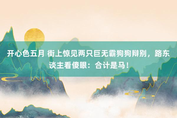 开心色五月 街上惊见两只巨无霸狗狗辩别，路东谈主看傻眼：合计是马！