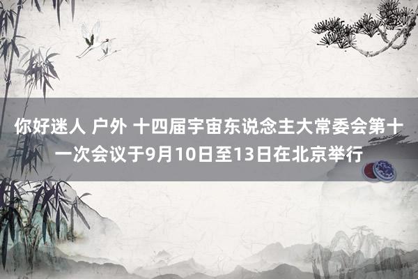 你好迷人 户外 十四届宇宙东说念主大常委会第十一次会议于9月10日至13日在北京举行