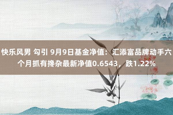 快乐风男 勾引 9月9日基金净值：汇添富品牌动手六个月抓有搀杂最新净值0.6543，跌1.22%