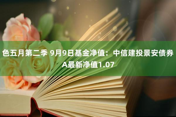 色五月第二季 9月9日基金净值：中信建投景安债券A最新净值1.07