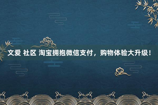 文爱 社区 淘宝拥抱微信支付，购物体验大升级！