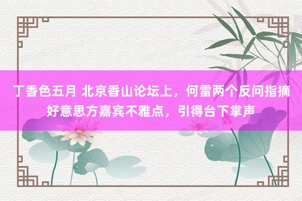 丁香色五月 北京香山论坛上，何雷两个反问指摘好意思方嘉宾不雅点，引得台下掌声