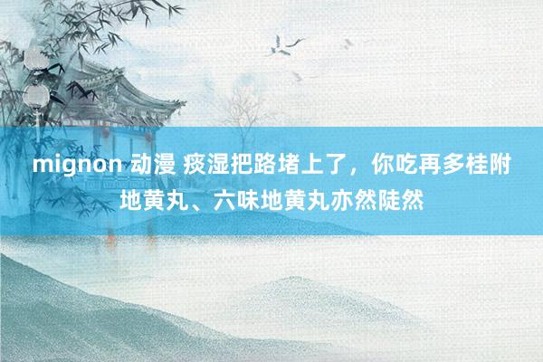 mignon 动漫 痰湿把路堵上了，你吃再多桂附地黄丸、六味地黄丸亦然陡然