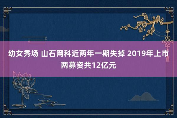 幼女秀场 山石网科近两年一期失掉 2019年上市两募资共12亿元