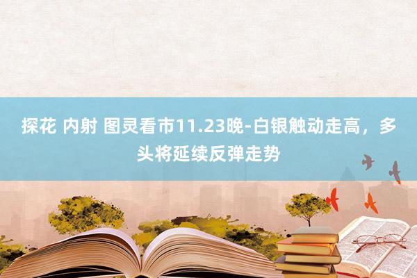 探花 内射 图灵看市11.23晚-白银触动走高，多头将延续反弹走势