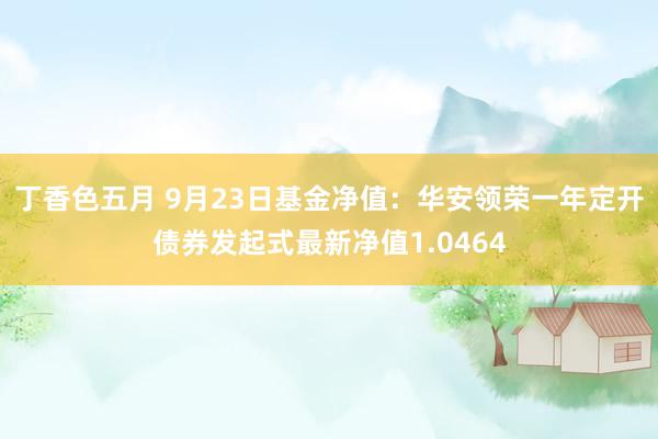 丁香色五月 9月23日基金净值：华安领荣一年定开债券发起式最新净值1.0464