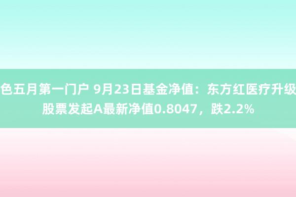 色五月第一门户 9月23日基金净值：东方红医疗升级股票发起A最新净值0.8047，跌2.2%