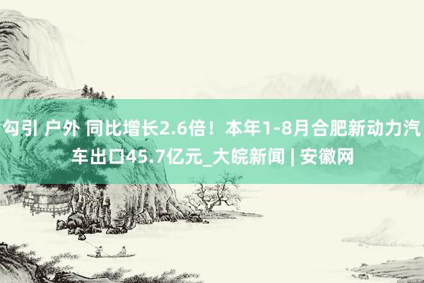 勾引 户外 同比增长2.6倍！本年1-8月合肥新动力汽车出口45.7亿元_大皖新闻 | 安徽网