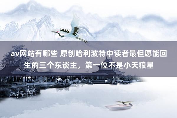 av网站有哪些 原创哈利波特中读者最但愿能回生的三个东谈主，第一位不是小天狼星