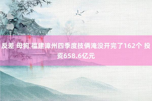 反差 母狗 福建漳州四季度技俩淹没开完了162个 投资658.6亿元