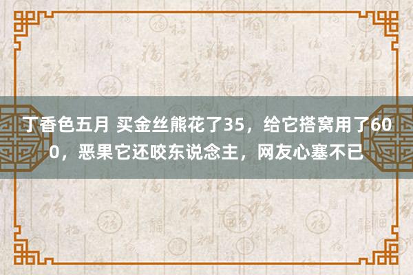 丁香色五月 买金丝熊花了35，给它搭窝用了600，恶果它还咬东说念主，网友心塞不已