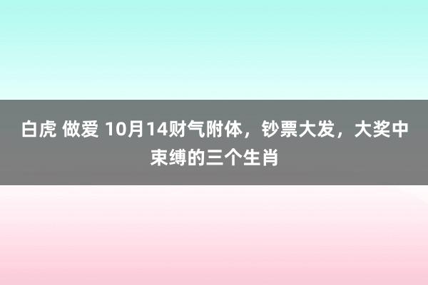 白虎 做爱 10月14财气附体，钞票大发，大奖中束缚的三个生肖