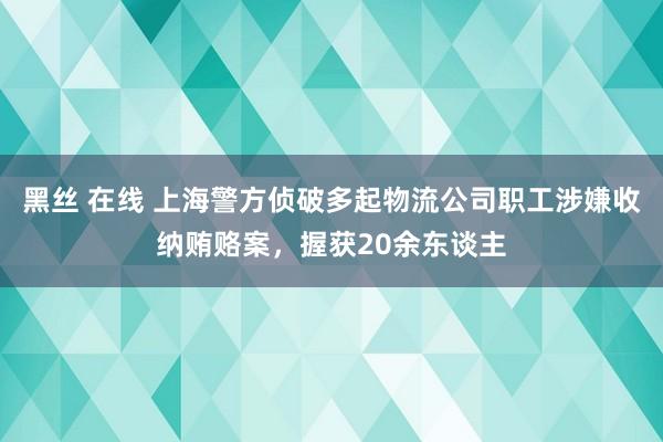 黑丝 在线 上海警方侦破多起物流公司职工涉嫌收纳贿赂案，握获20余东谈主