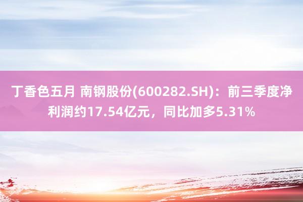 丁香色五月 南钢股份(600282.SH)：前三季度净利润约17.54亿元，同比加多5.31%