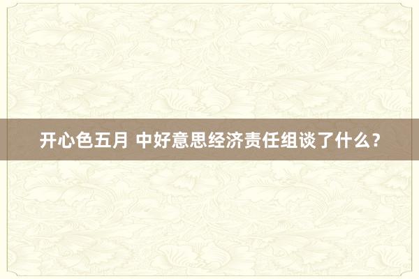 开心色五月 中好意思经济责任组谈了什么？