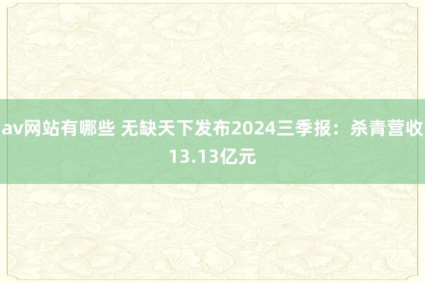 av网站有哪些 无缺天下发布2024三季报：杀青营收13.13亿元