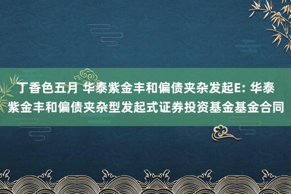 丁香色五月 华泰紫金丰和偏债夹杂发起E: 华泰紫金丰和偏债夹杂型发起式证券投资基金基金合同