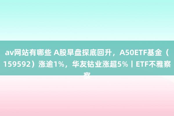 av网站有哪些 A股早盘探底回升，A50ETF基金（159592）涨逾1%，华友钴业涨超5%丨ETF不雅察