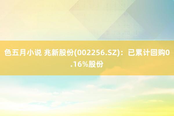 色五月小说 兆新股份(002256.SZ)：已累计回购0.16%股份