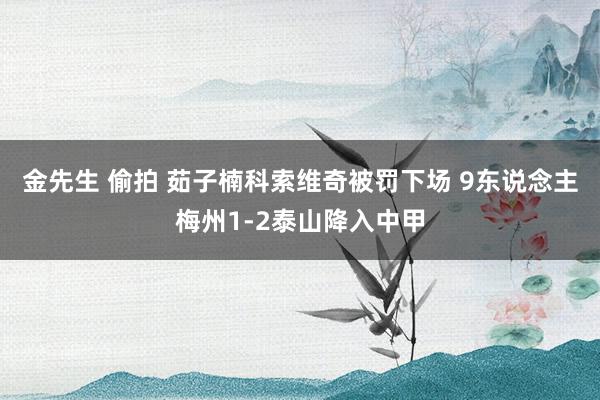 金先生 偷拍 茹子楠科索维奇被罚下场 9东说念主梅州1-2泰山降入中甲