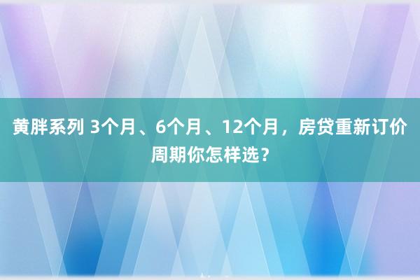 黄胖系列 3个月、6个月、12个月，房贷重新订价周期你怎样选？