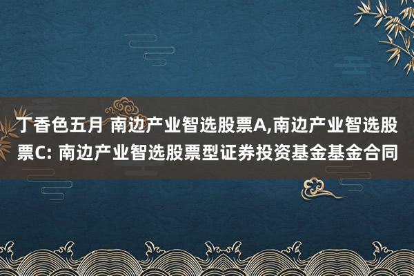 丁香色五月 南边产业智选股票A，南边产业智选股票C: 南边产业智选股票型证券投资基金基金合同