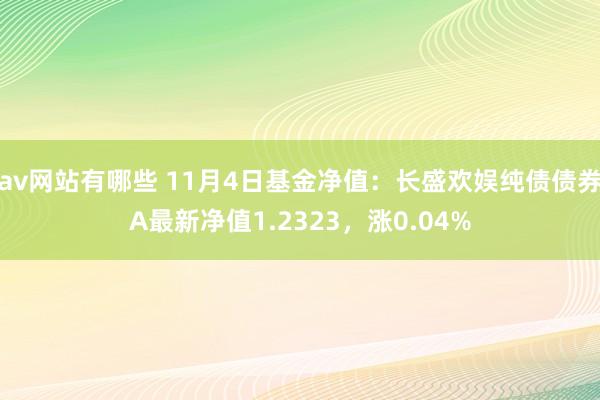 av网站有哪些 11月4日基金净值：长盛欢娱纯债债券A最新净值1.2323，涨0.04%