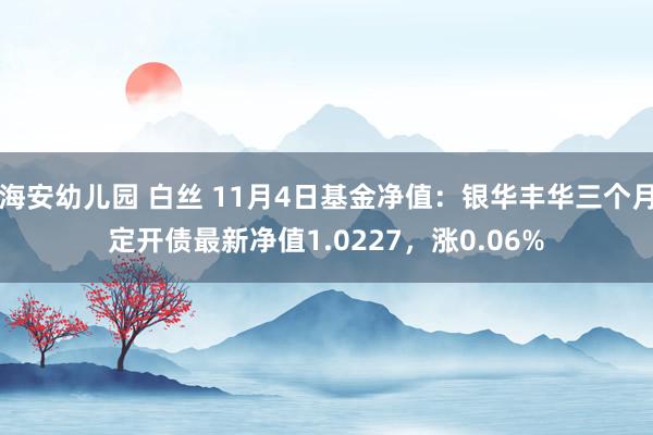 海安幼儿园 白丝 11月4日基金净值：银华丰华三个月定开债最新净值1.0227，涨0.06%