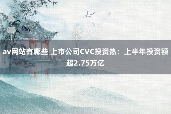 av网站有哪些 上市公司CVC投资热：上半年投资额超2.75万亿