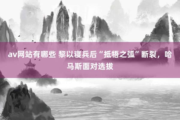 av网站有哪些 黎以寝兵后“抵牾之弧”断裂，哈马斯面对选拔