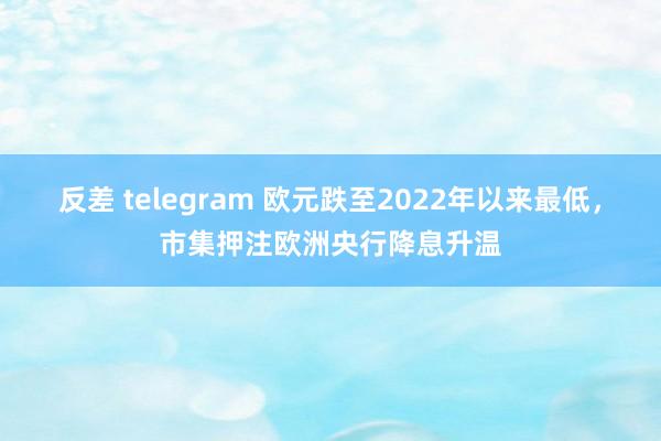 反差 telegram 欧元跌至2022年以来最低，市集押注欧洲央行降息升温