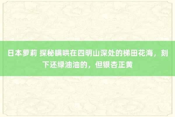 日本萝莉 探秘瞒哄在四明山深处的梯田花海，刻下还绿油油的，但银杏正黄