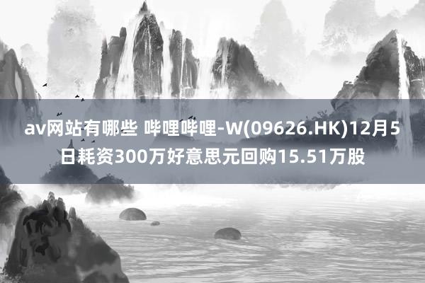 av网站有哪些 哔哩哔哩-W(09626.HK)12月5日耗资300万好意思元回购15.51万股