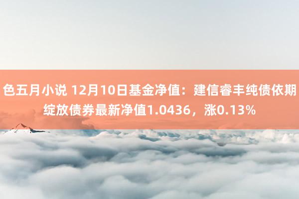 色五月小说 12月10日基金净值：建信睿丰纯债依期绽放债券最新净值1.0436，涨0.13%