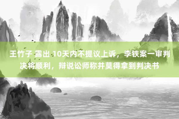 王竹子 露出 10天内不提议上诉，李铁案一审判决将顺利，辩说讼师称并莫得拿到判决书