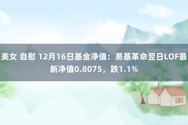 美女 自慰 12月16日基金净值：易基革命翌日LOF最新净值0.8075，跌1.1%