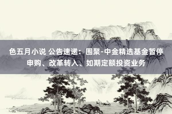 色五月小说 公告速递：围聚-中金精选基金暂停申购、改革转入、如期定额投资业务