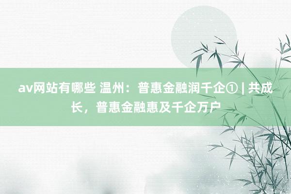 av网站有哪些 温州：普惠金融润千企① | 共成长，普惠金融惠及千企万户