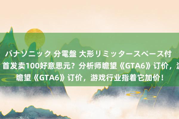 パナソニック 分電盤 大形リミッタースペース付 露出・半埋込両用形 首发卖100好意思元？分析师瞻望《GTA6》订价，游戏行业指着它加价！